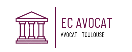 26 Rue Matabiau 31000 Toulouse  06.35.67.91.46